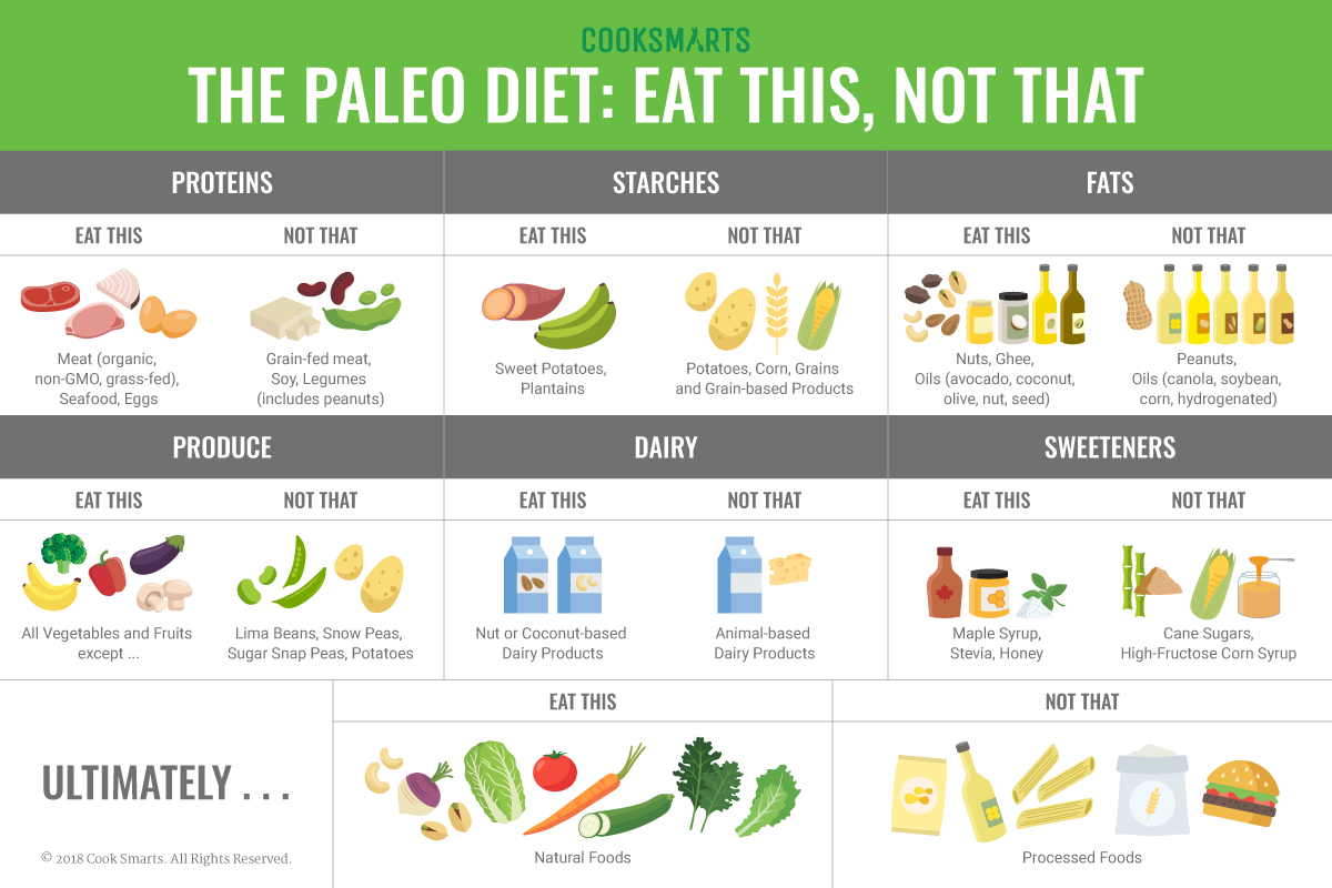 What Is The Paleo Diet What Is The Paleo Dietwhat Is The Paleo Diet